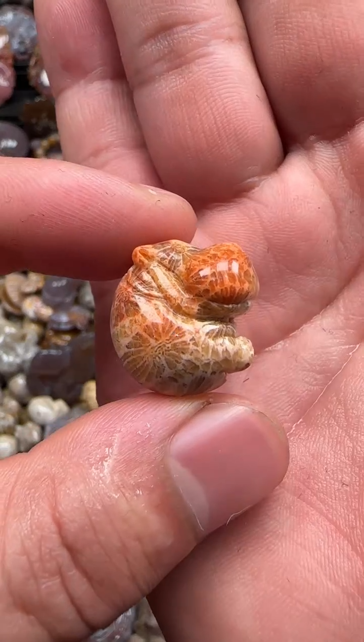 【闪购商品】硅化珊瑚（珊瑚玉）颈饰未镶嵌646