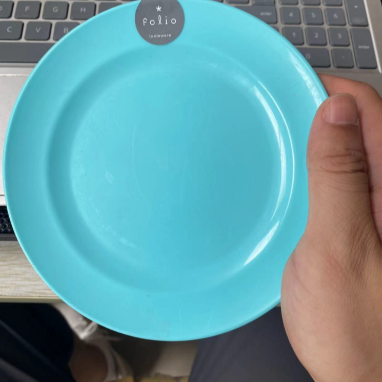 C 【展会专享】居家日用盘子套装