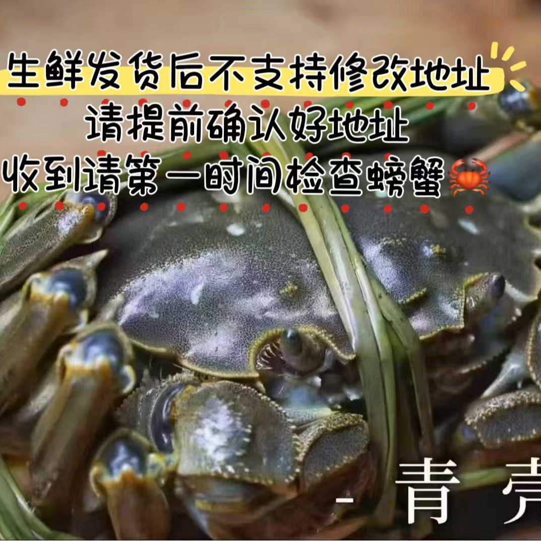 【活蟹】山东黄河口大闸蟹母蟹2.3-2.5两 公蟹3.2-3.5两 共6只