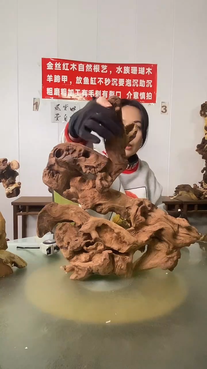 木人****邓金丝红木  羊蹄甲