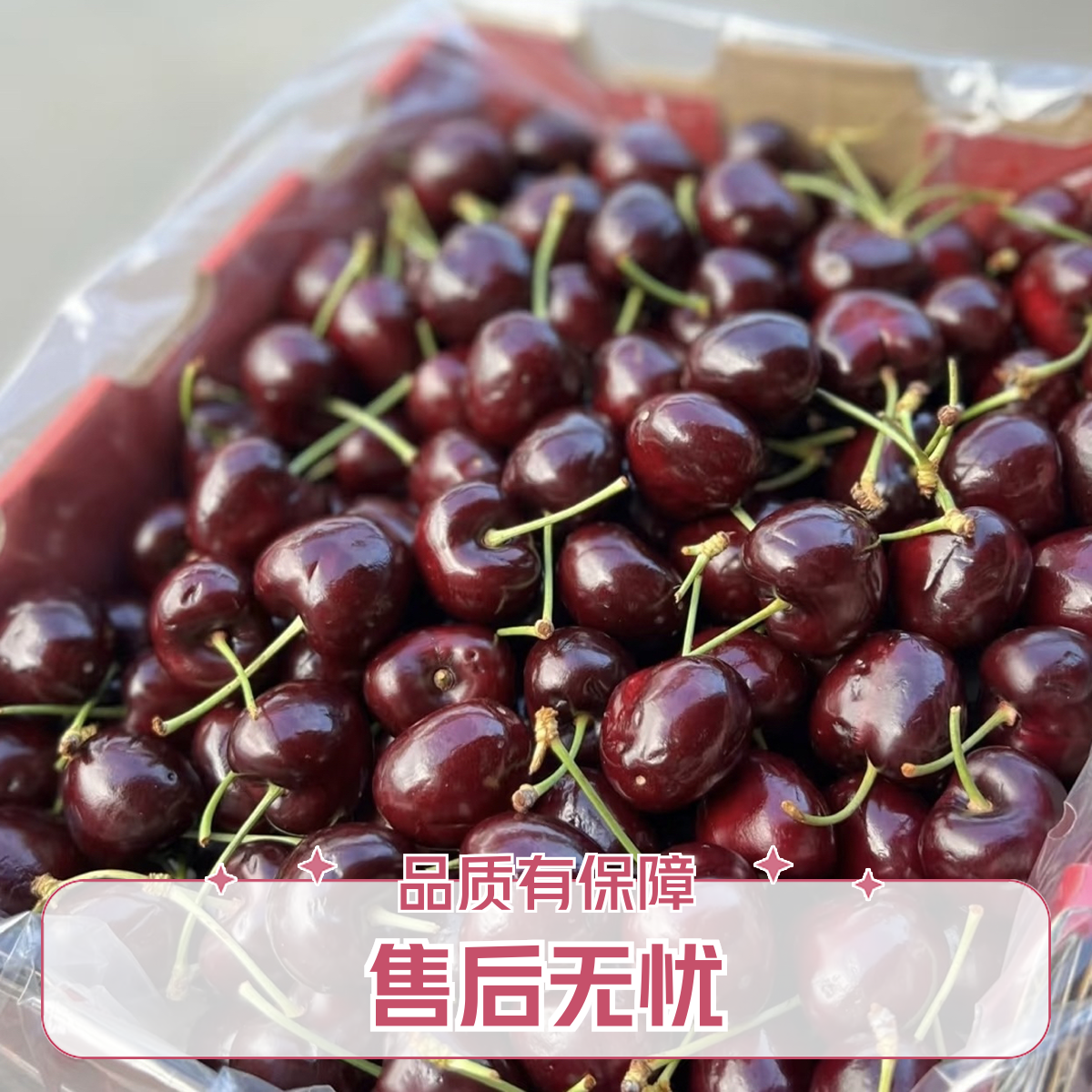 JD 桑缇娜车厘子/3斤 海运桑提娜智利