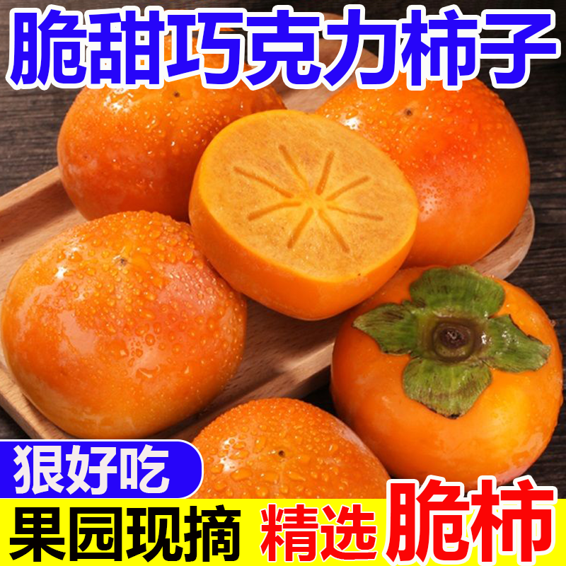 山西运城脆甜巧克力脆柿新鲜现摘现发阳丰脆柿子新鲜水果X