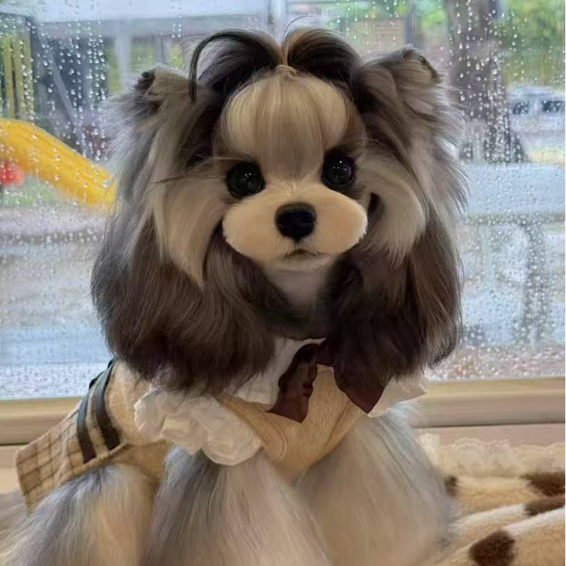 【元宝家的雪纳瑞】宠物活体幼体雪纳瑞小狗萌犬