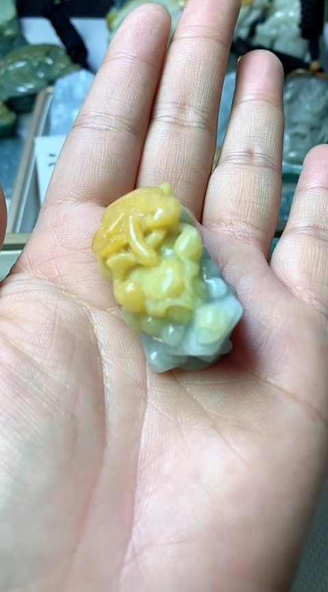 【闪购商品】翡翠颈饰未镶嵌翡翠