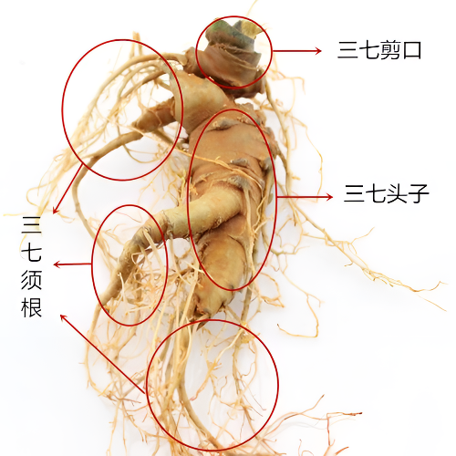 胡荣军云故里三七九根