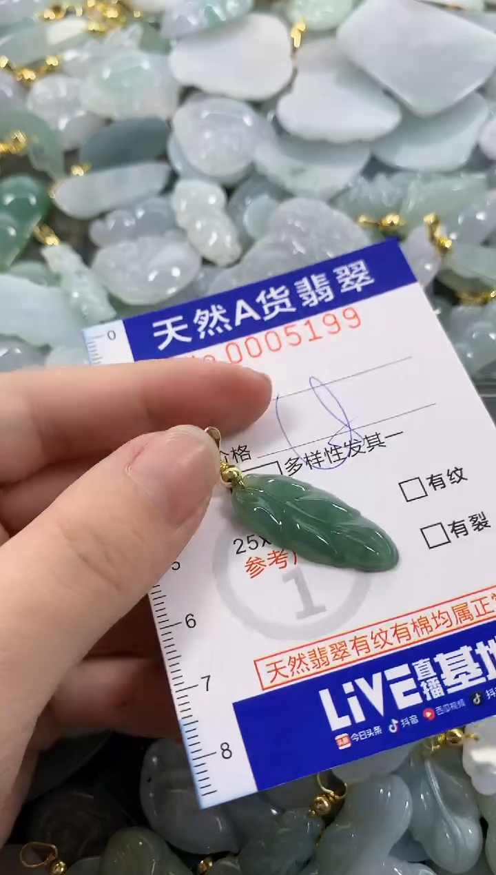 颈饰未镶嵌翡翠天然A货翡翠