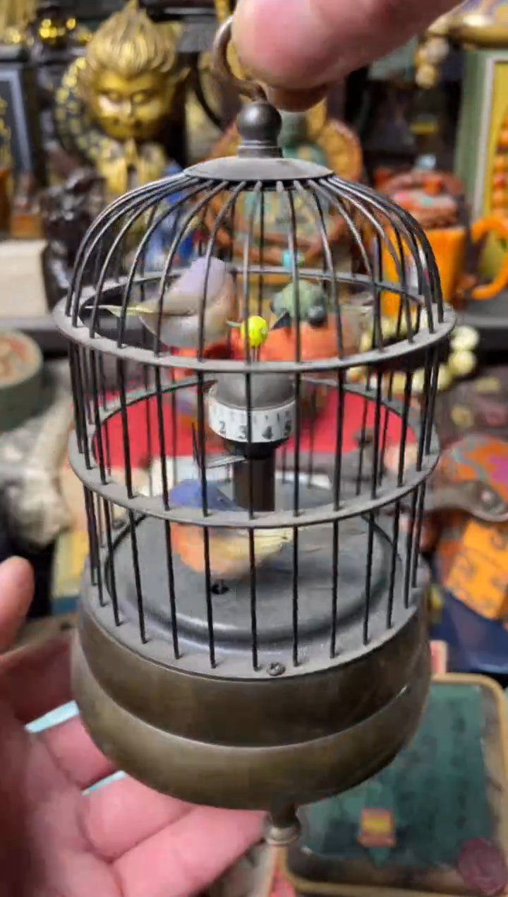 【闪购商品】主播推荐主播推荐