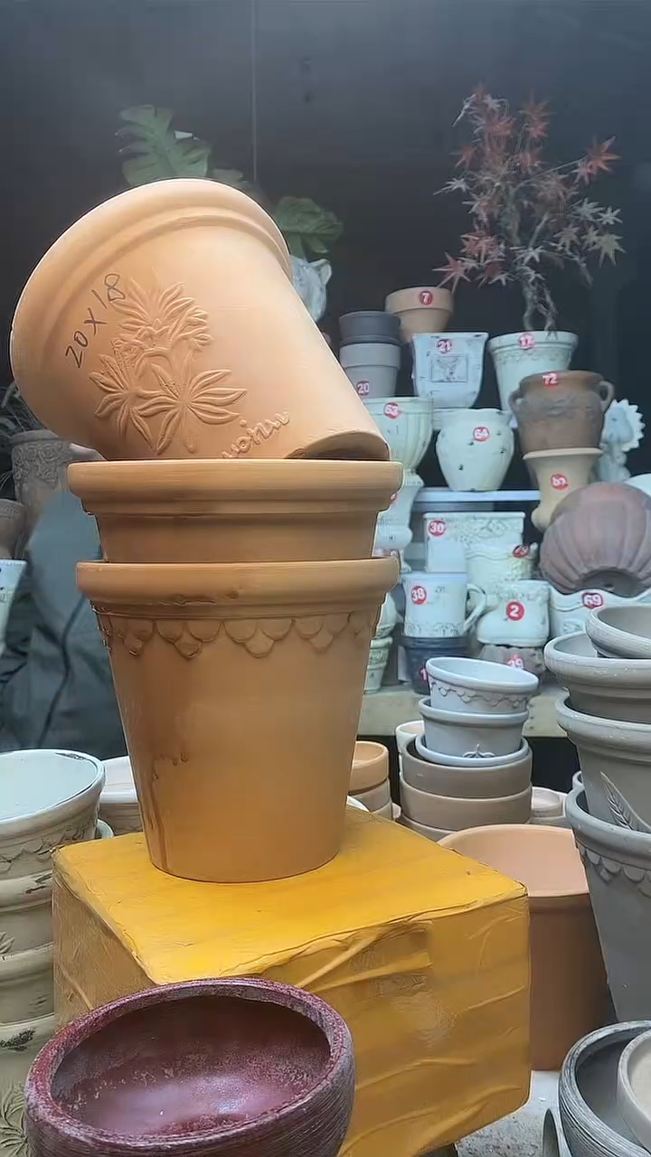 【闪购商品】缸3个20*18红陶巴洛克香草橄榄无托