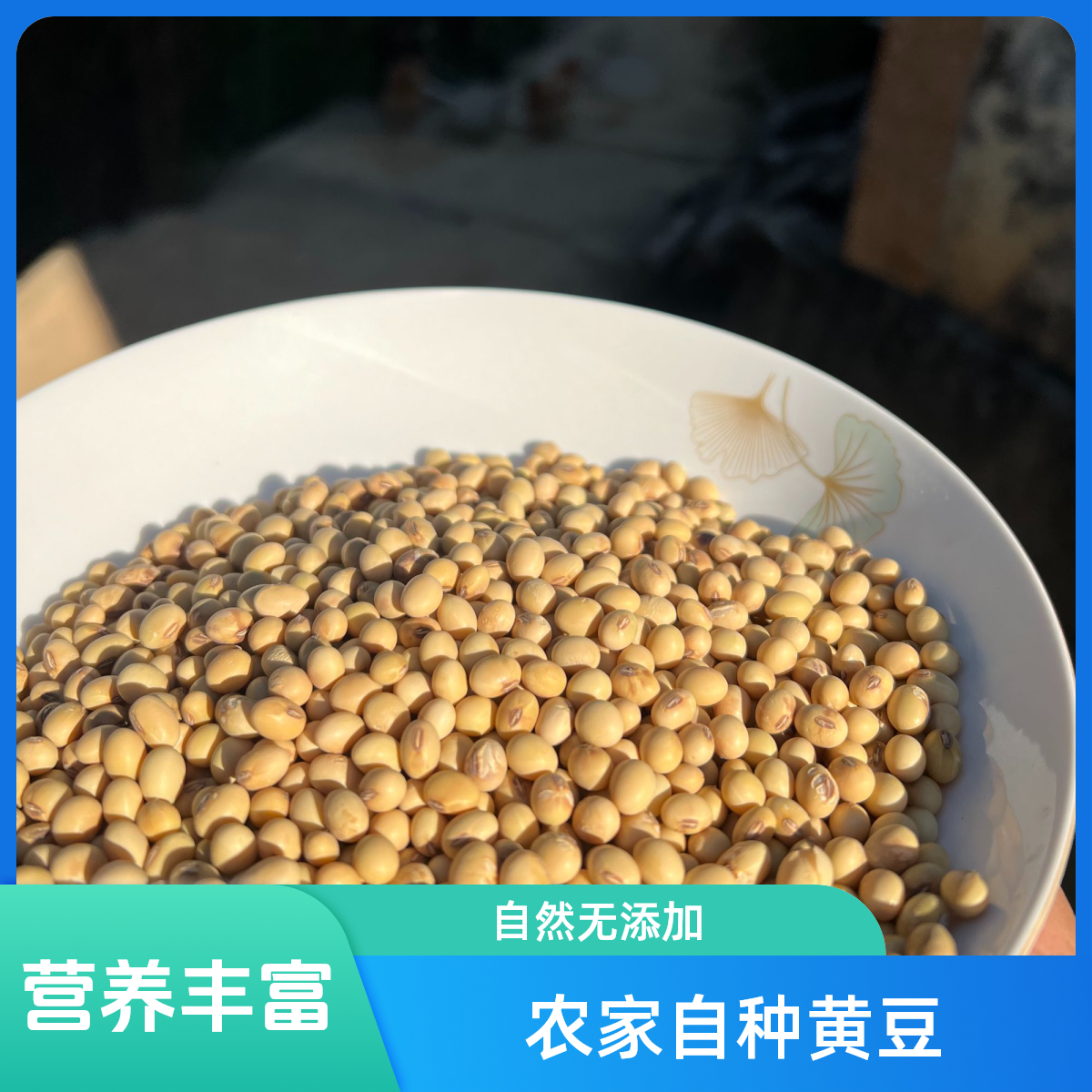 农家黄豆，农家黑豆，青豆 龙川2025新黄豆，黑豆，青豆