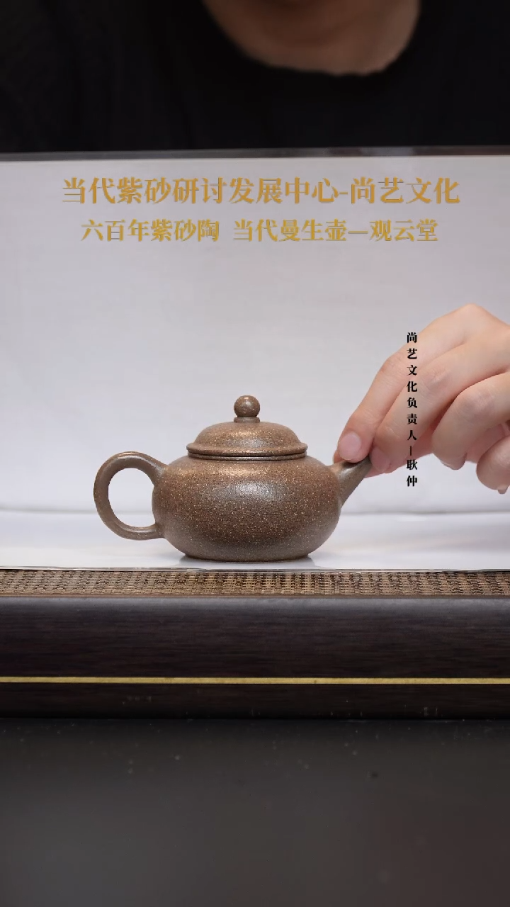 茶壶紫砂宜兴紫砂 紫砂壶  FWH  水平 芝麻段