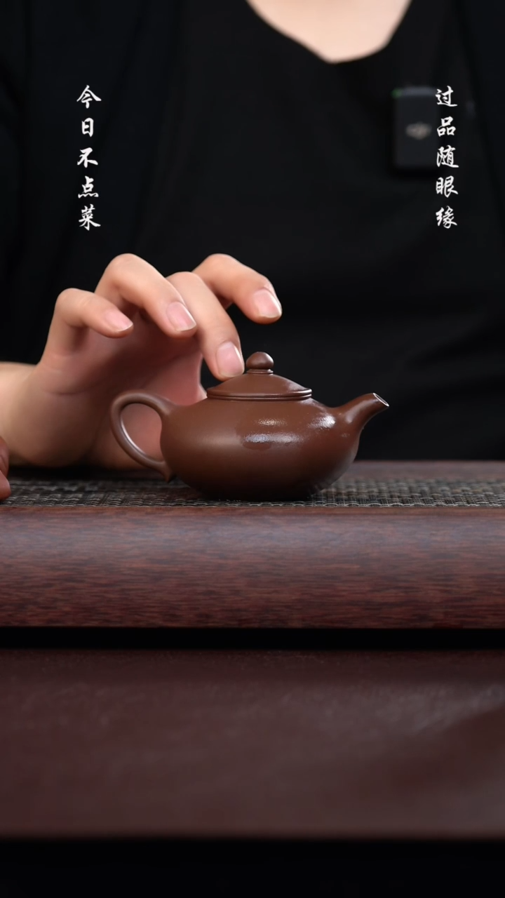 【闪购商品】境壶佳器紫泥灵芝壶150cc