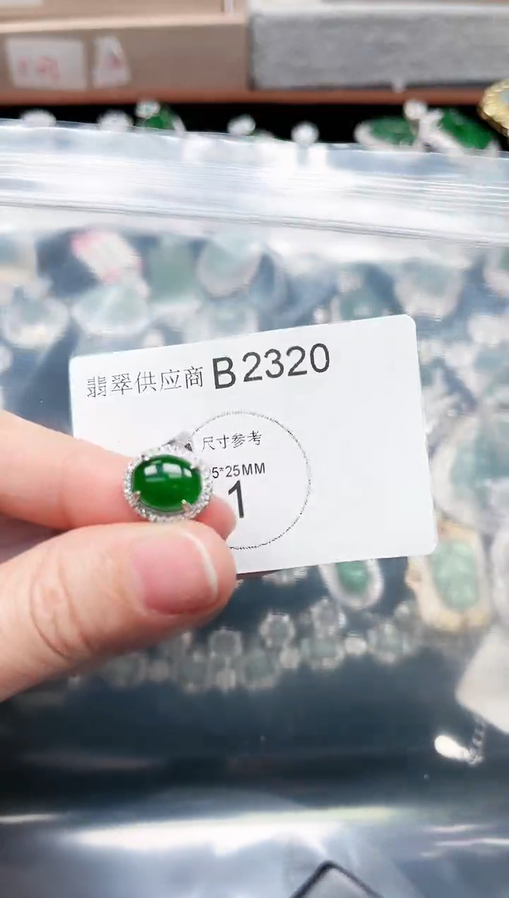 【闪购商品】翡翠颈饰未镶嵌赠皮绳2320