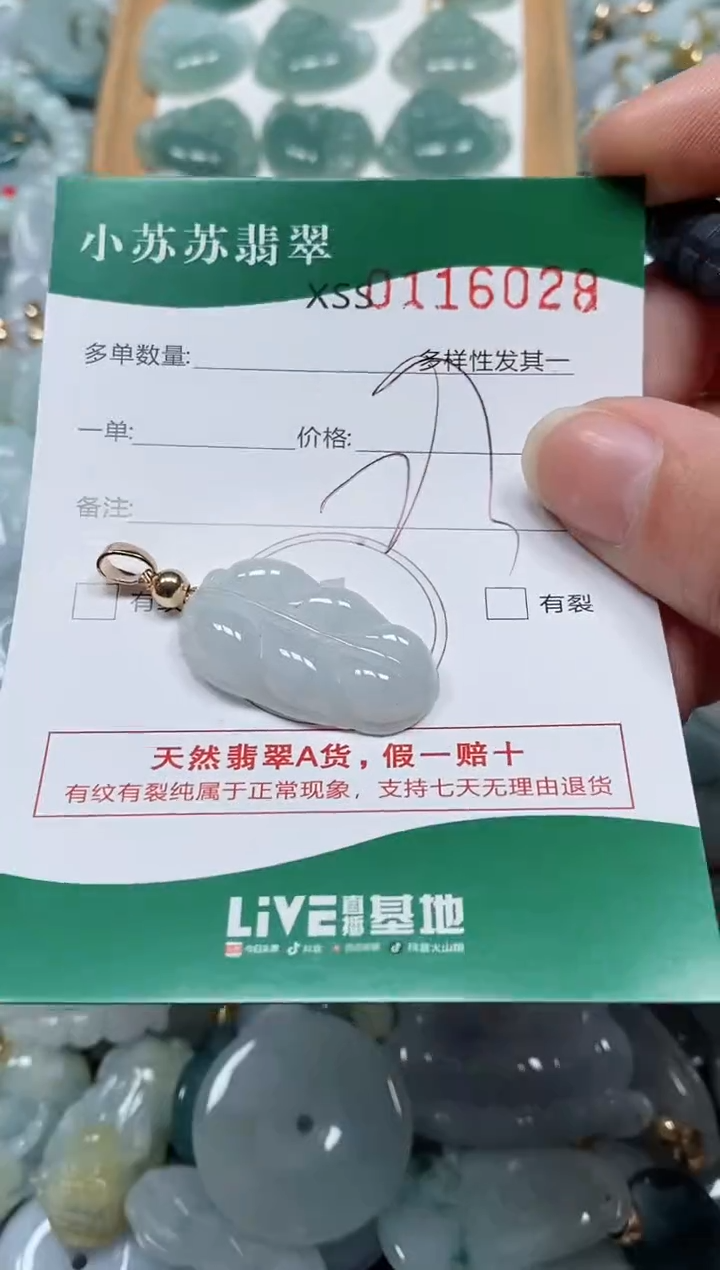 【闪购商品】翡翠颈饰未镶嵌闪购商品0116028