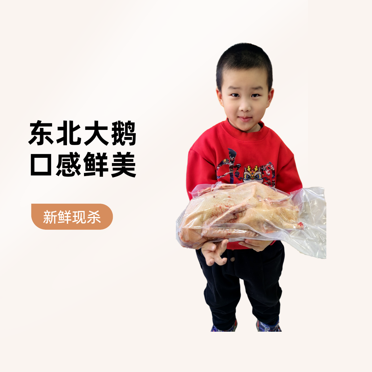 东北大白鹅新鲜现杀7斤左右