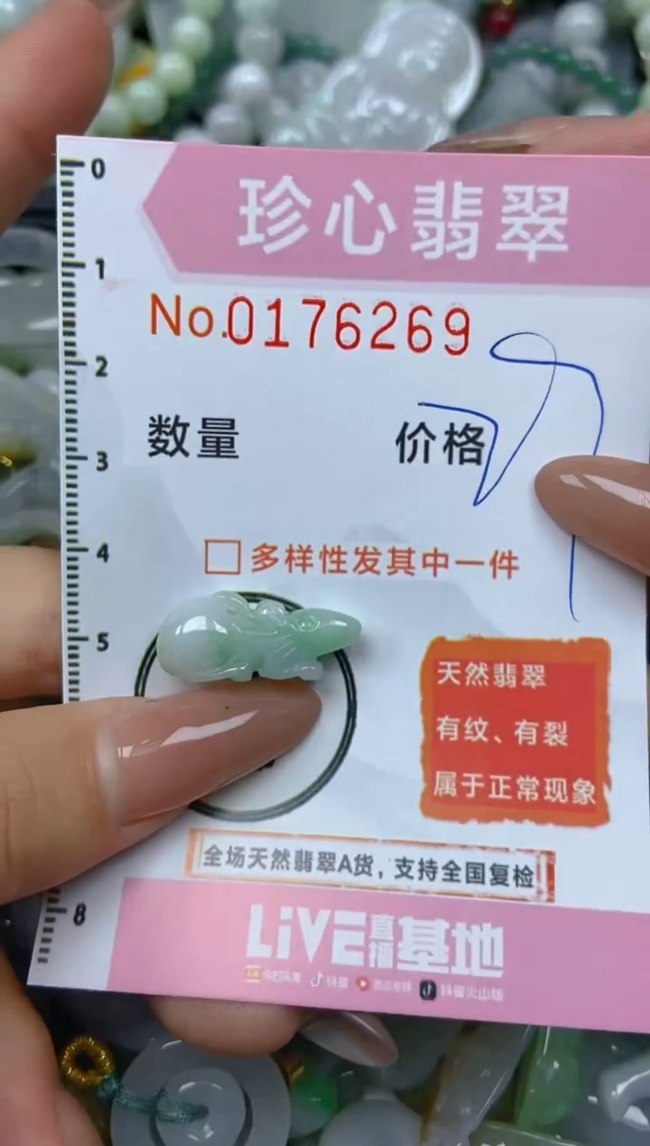 【闪购商品】翡翠颈饰未镶嵌闪购0176269