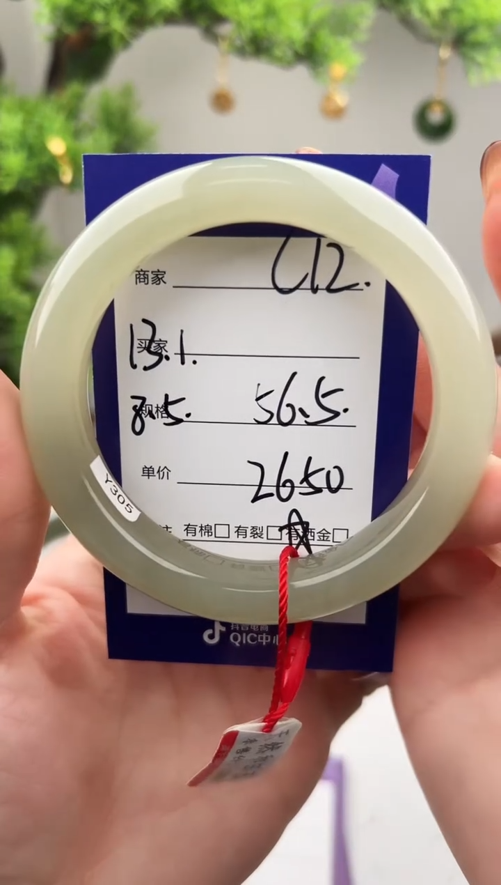 未镶嵌手镯和田玉微色差C12