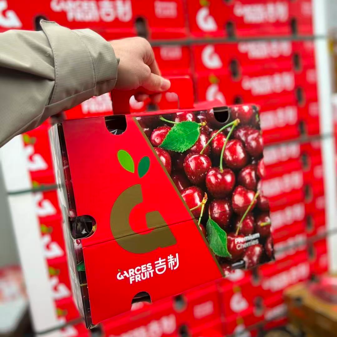 大G海运智利车厘子2J桑提娜又脆又甜 内附果径卡