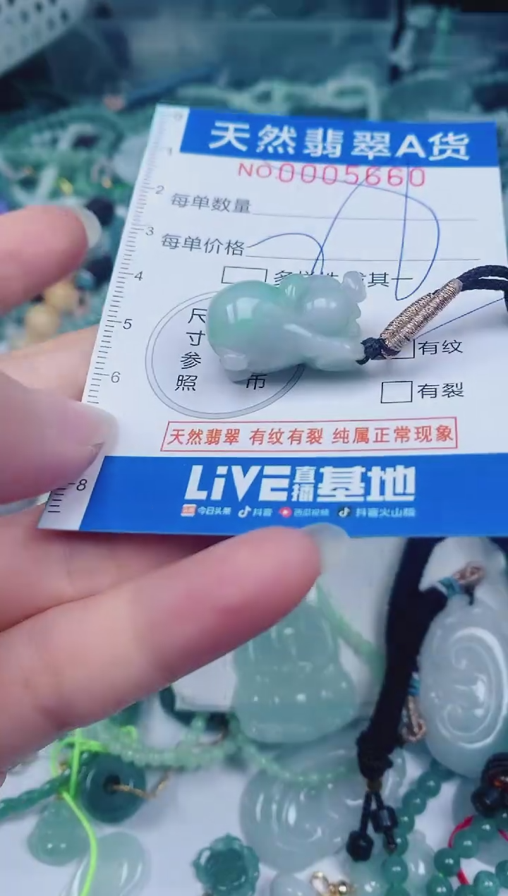 颈饰未镶嵌翡翠00005660