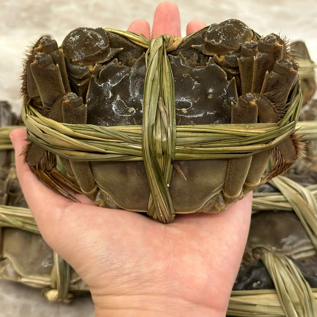 精品蟹.1.4-1.6两螃蟹青蟹.顺丰冷链到家