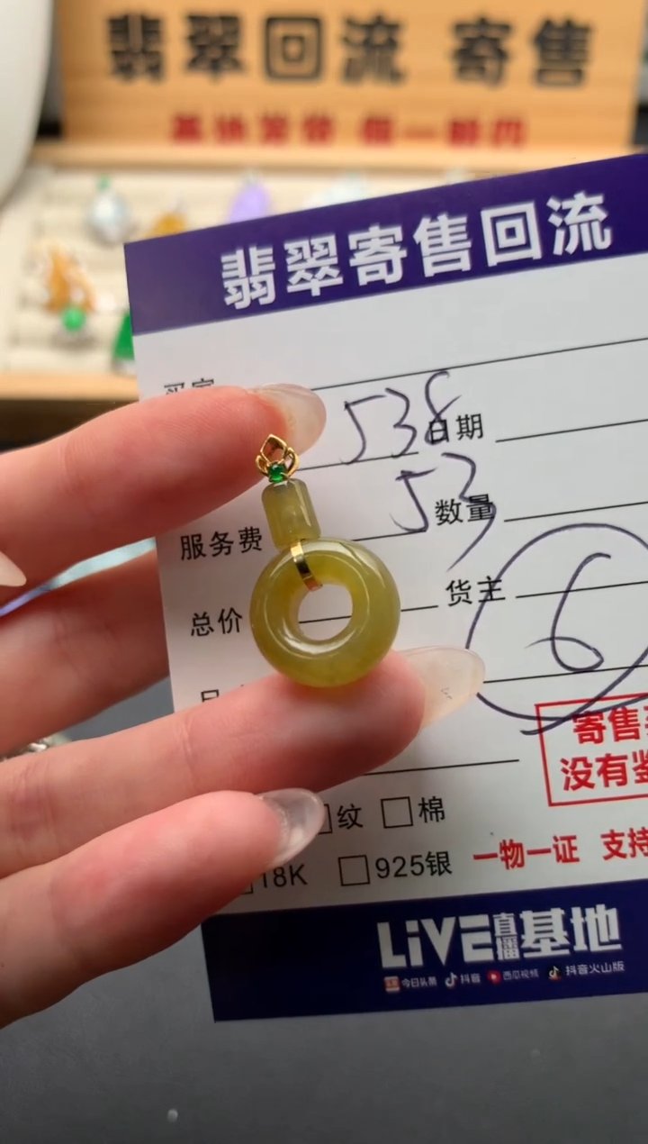 翡翠18K金镶嵌颈饰10133943