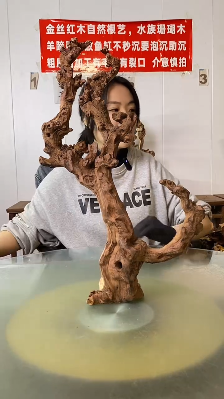 木痴****童金丝红木  羊蹄甲