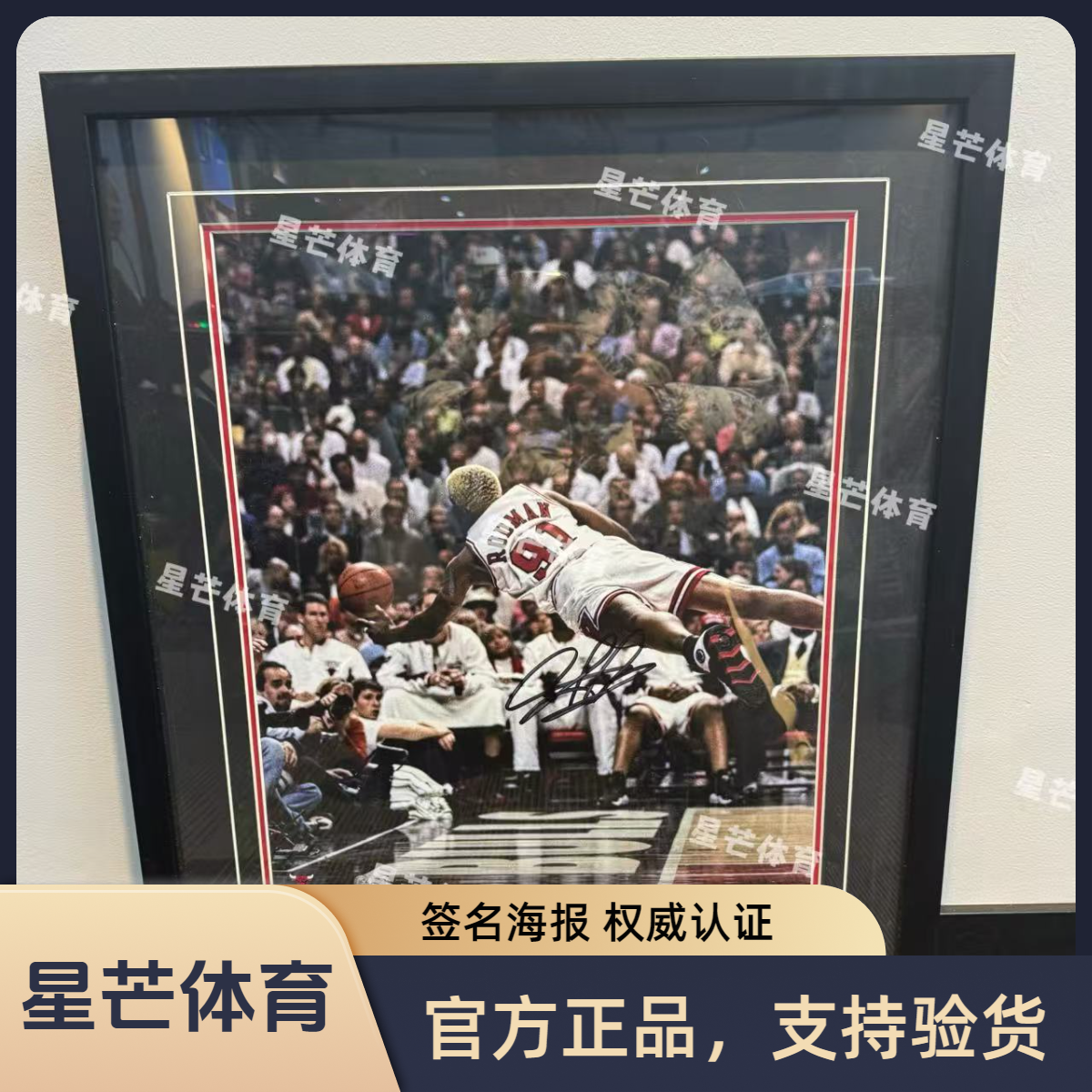 星芒亲签 大虫 罗德曼FA认证装裱亲签海报