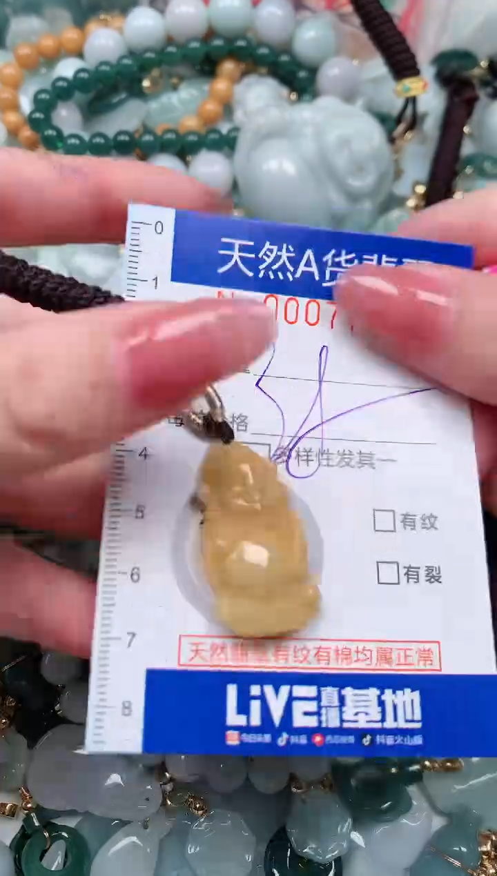 【闪购商品】翡翠颈饰未镶嵌00007795