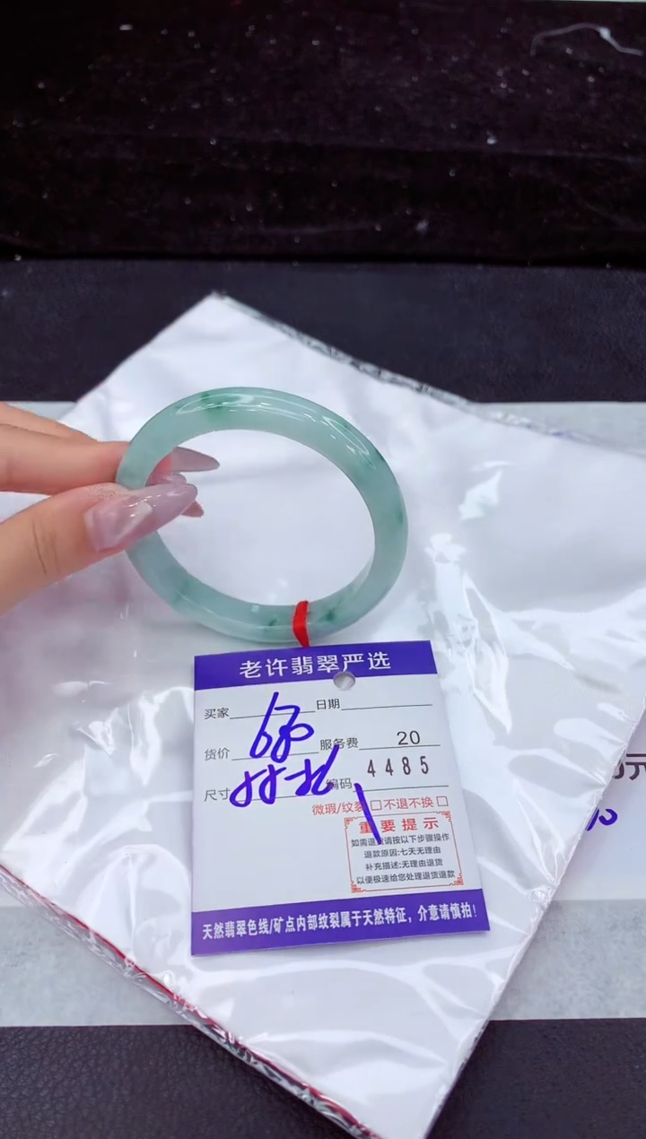 未镶嵌手镯翡翠1