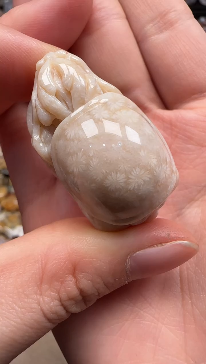 【闪购商品】硅化珊瑚（珊瑚玉）颈饰未镶嵌495