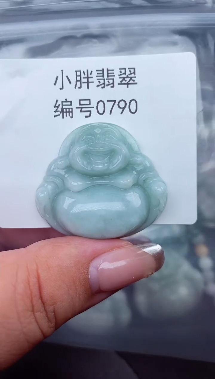 翡翠未镶嵌颈饰缅甸天然A货翡翠0790