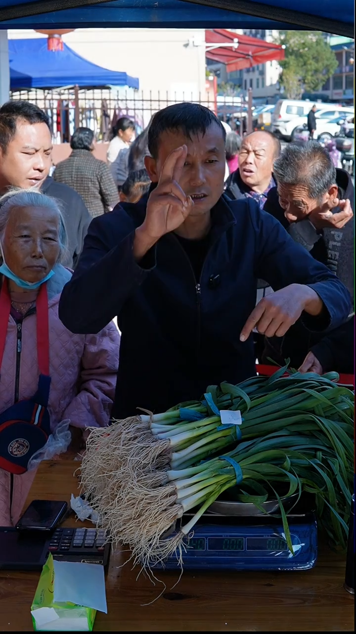 中国大陆农家蒜苗3斤