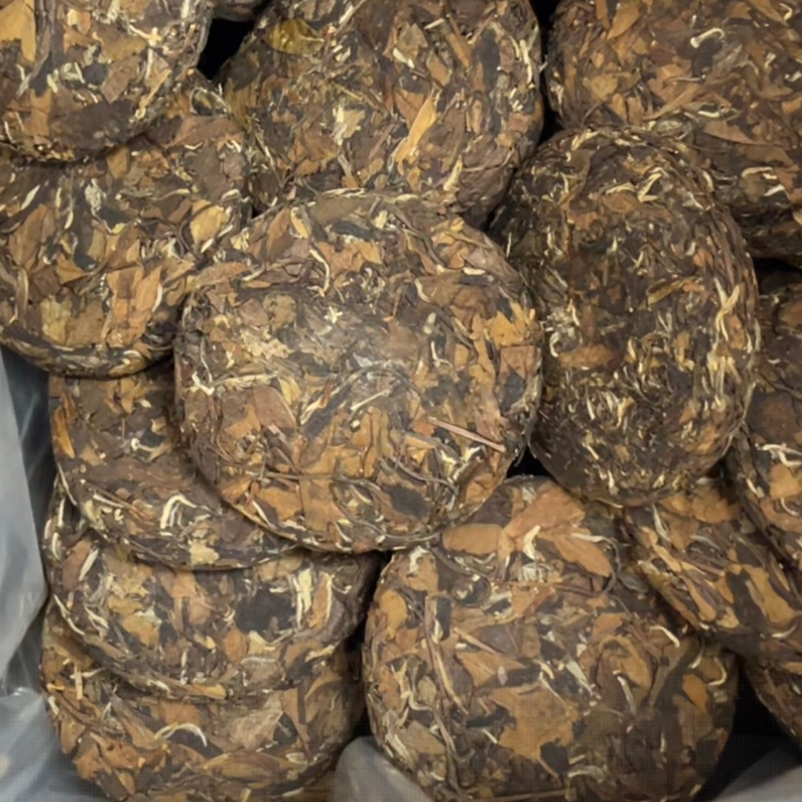 临时链接 2013年寿眉小饼 100克