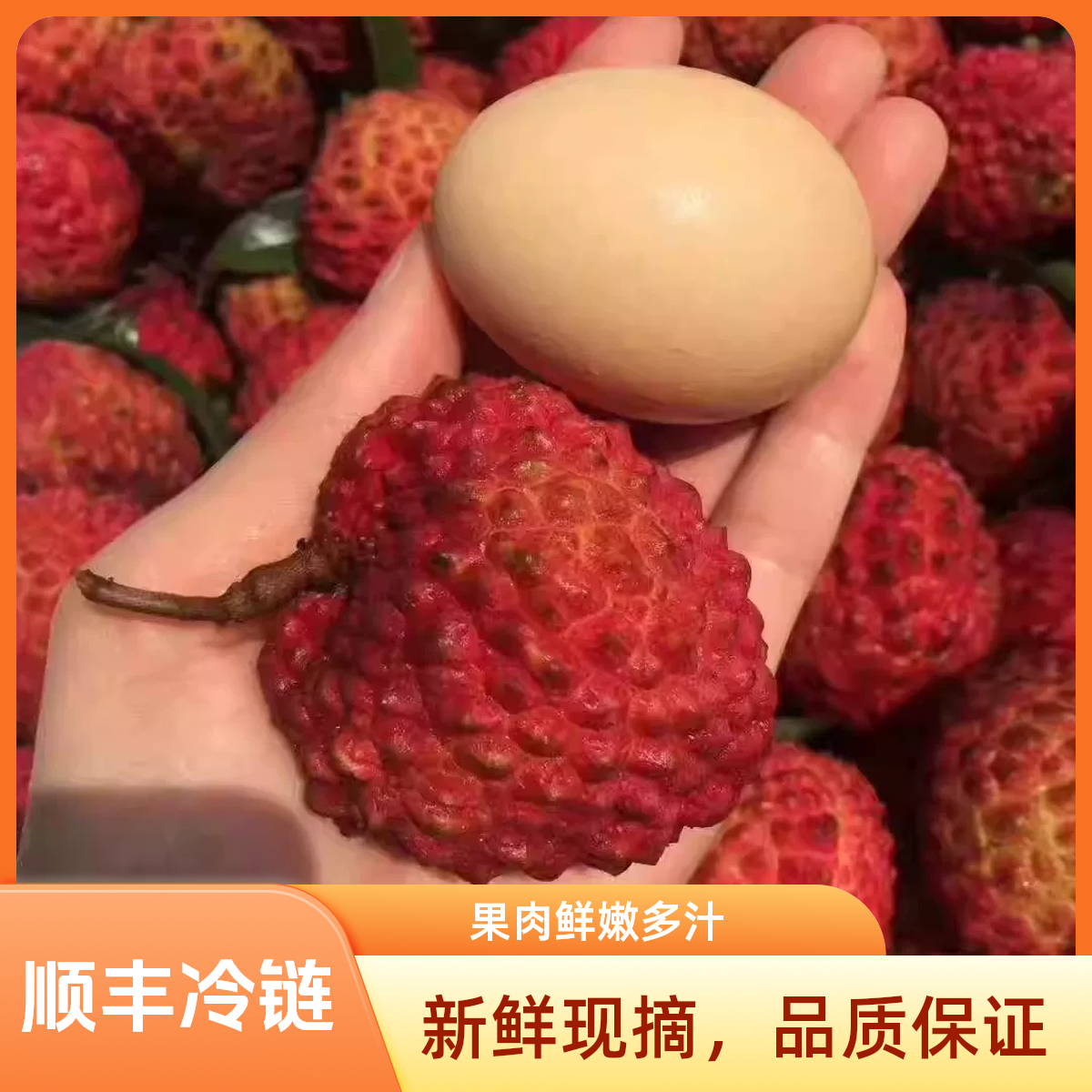 【小杨应季鲜果园】正宗火山荔枝王顺丰冷链快递顶峰