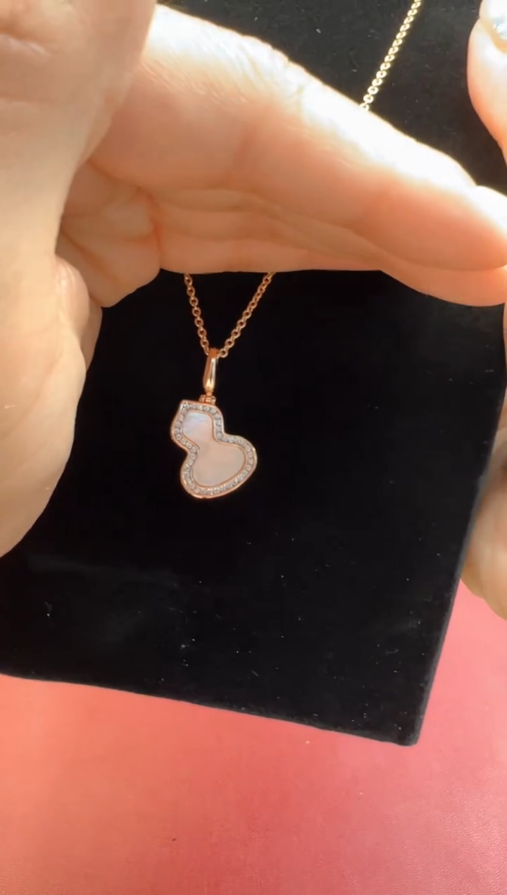 瓷片新号开播，全场放漏!SP169