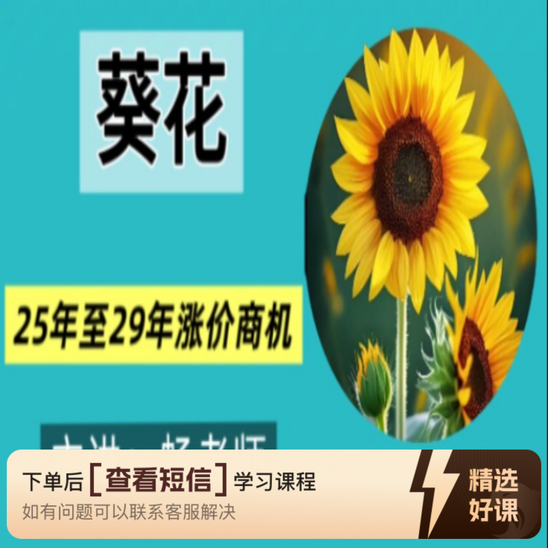 葵花二五年至未来涨价周期（留意短信解锁课程）
