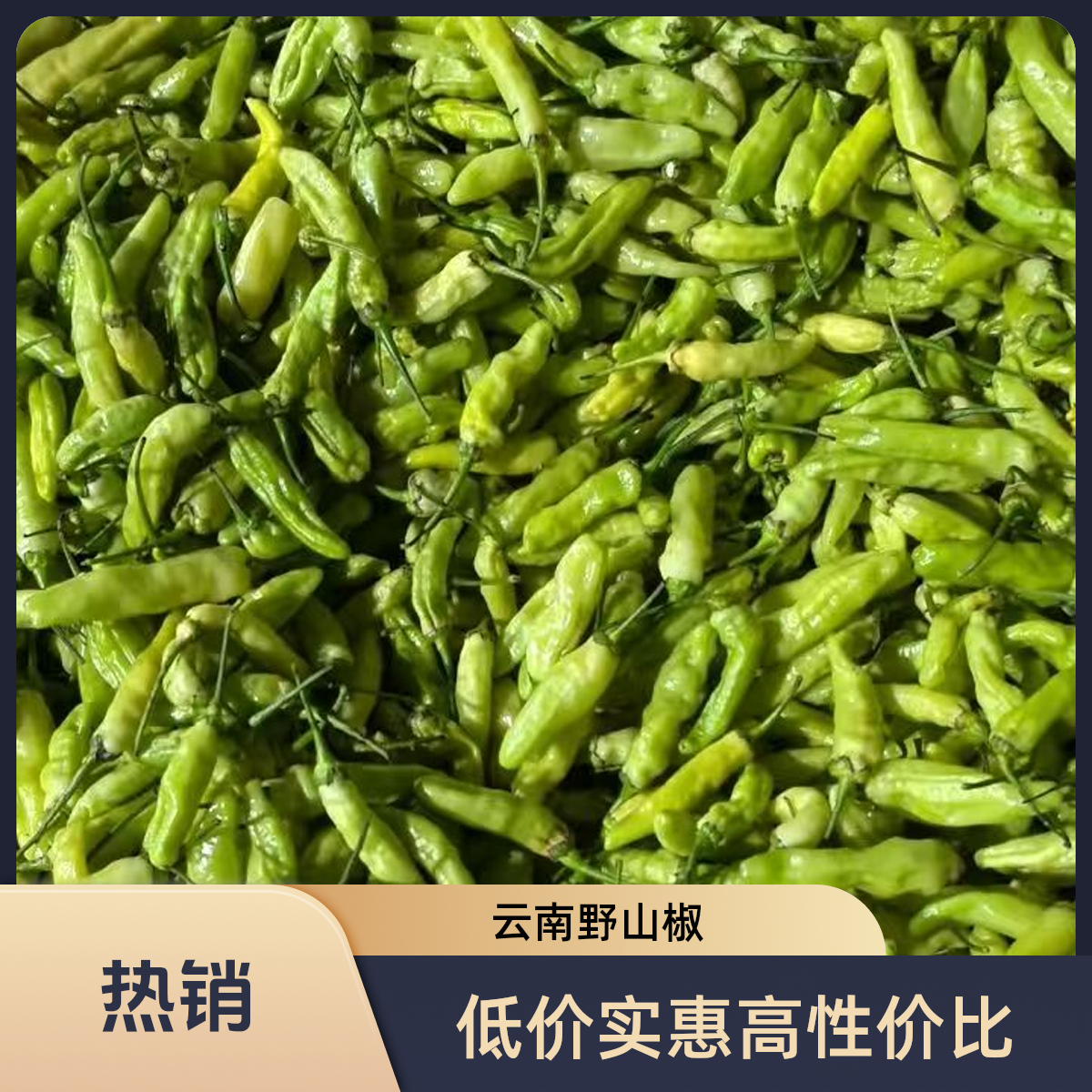 【送蘸料】（二两野山椒）同款 云南野山椒生吃皱皮老品种云南小米辣