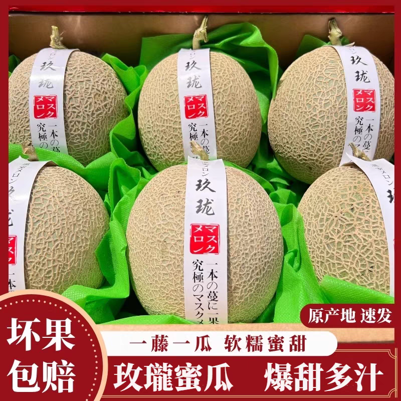 山东潍坊网纹瓜 产地直发 脆甜多汁 冰淇淋瓜 脆甜多汁 4.5斤 