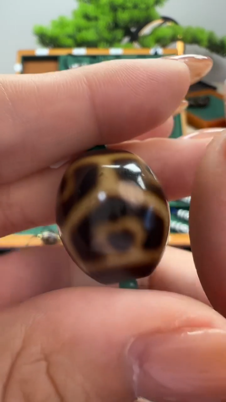 玛瑙/玉髓（覆膜）颈饰未镶嵌55.