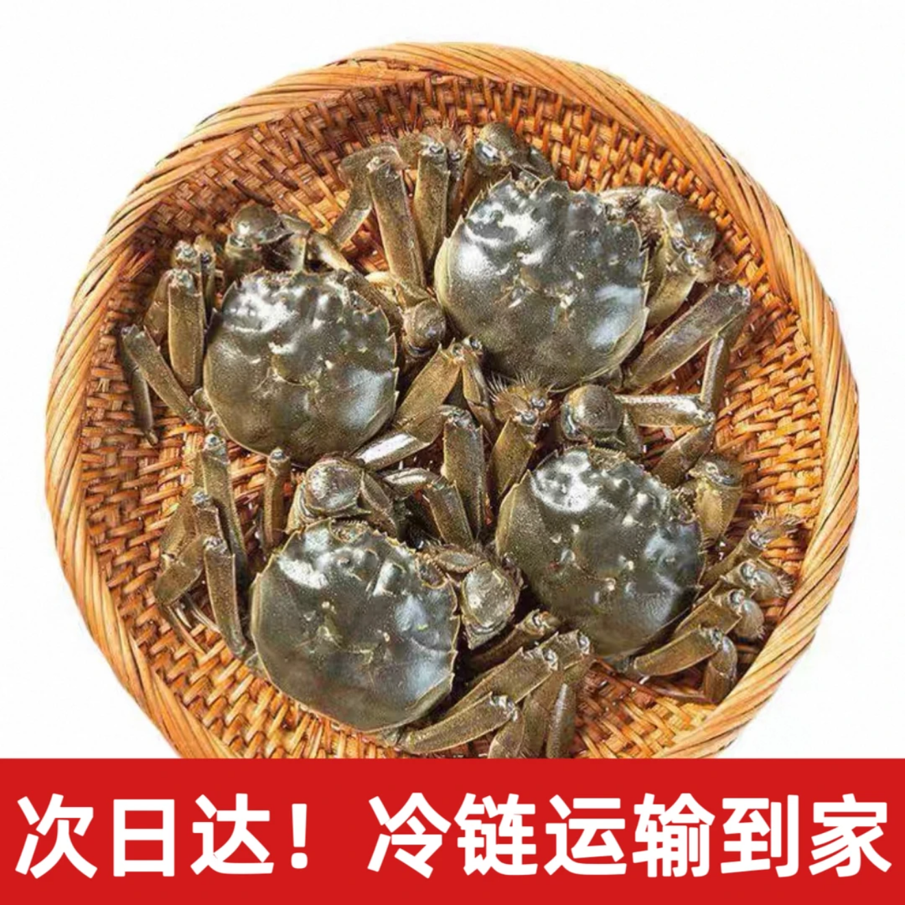 【活蟹】全母蟹1.3-1两/只 盘锦河蟹 18只 京东次日达