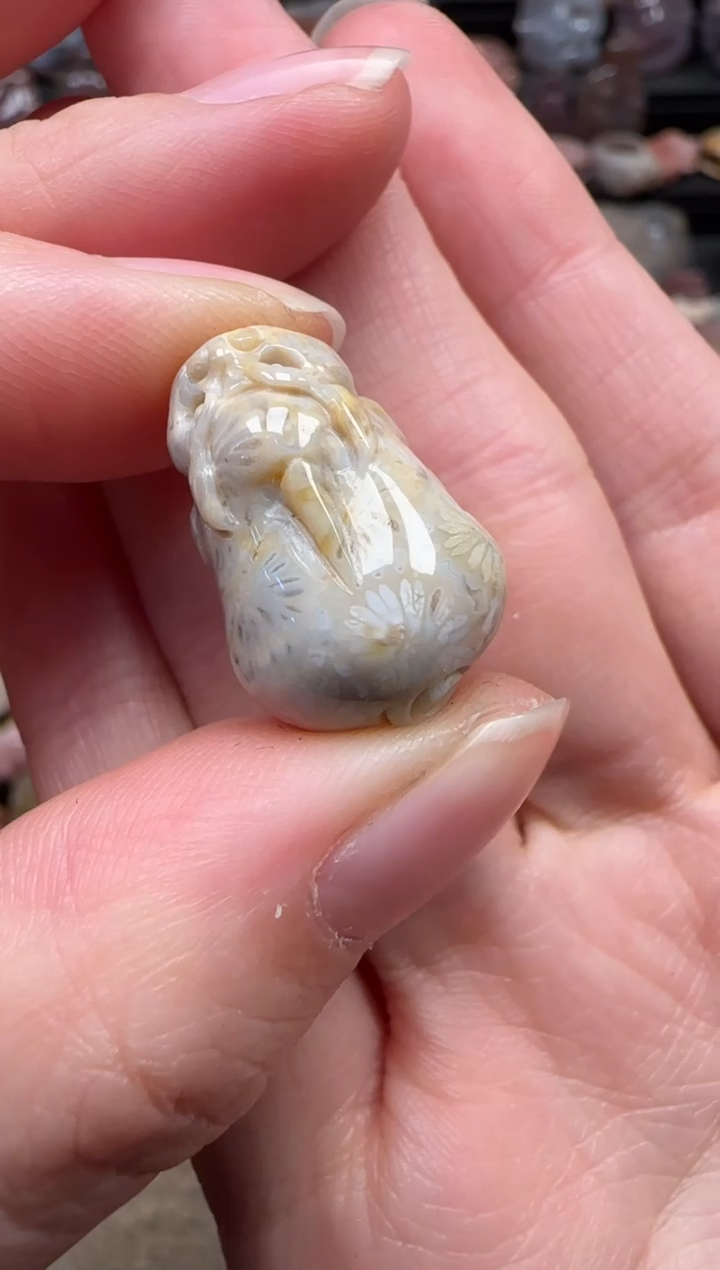 颈饰未镶嵌硅化珊瑚（珊瑚玉）290