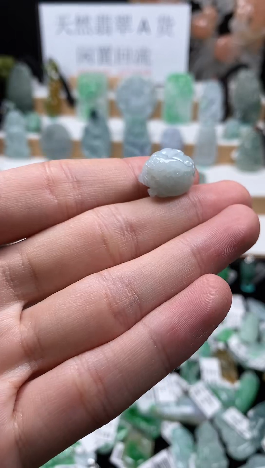 【闪购商品】翡翠颈饰未镶嵌107龙龟