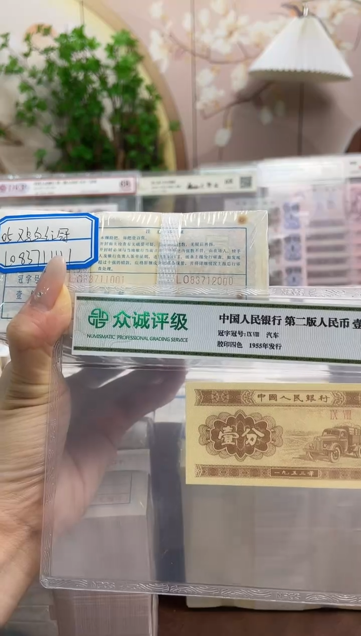 M, 05，鸡血红冠，LO83711001