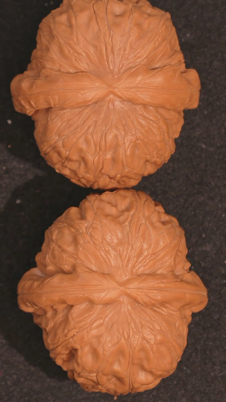 【闪购商品】文玩核桃把件元宝43左右