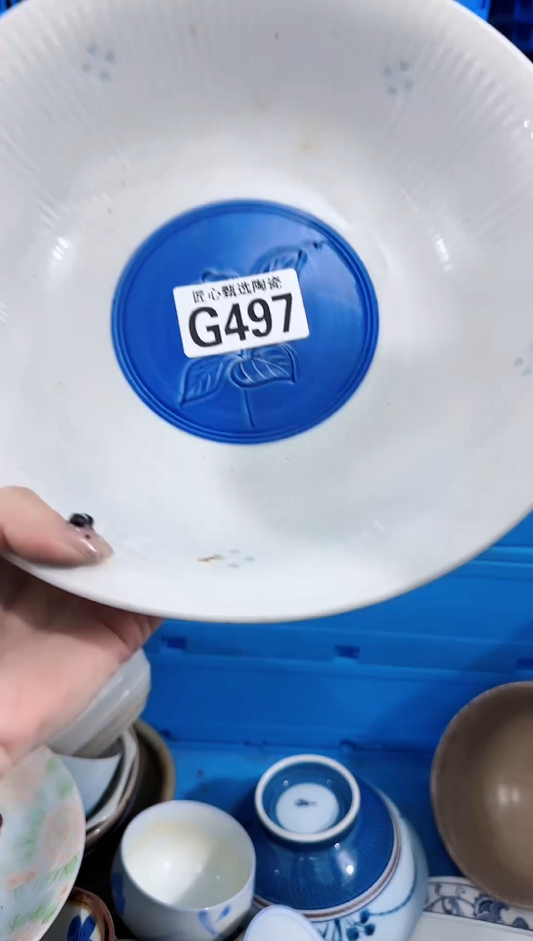 瓷片安**逸           G497