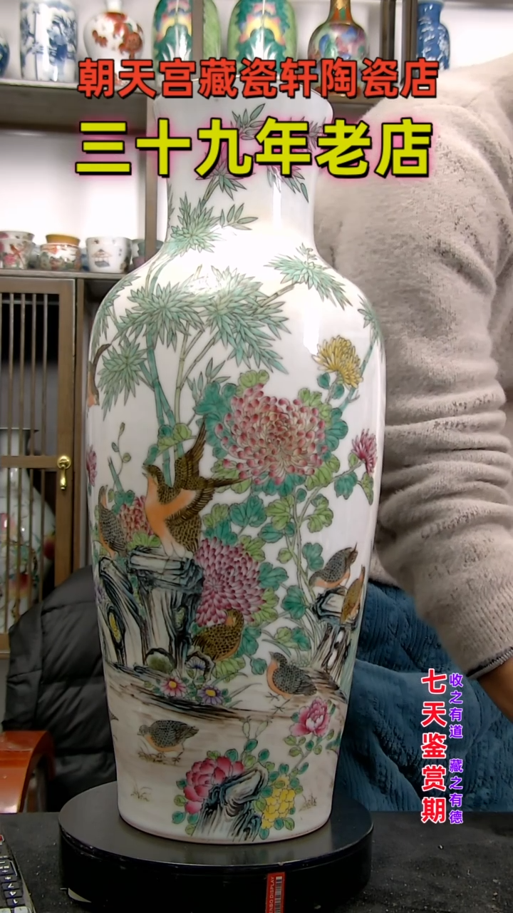 【闪购商品】碗5846378463784636846