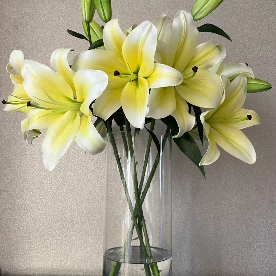 【杰杰楷专属】黄天霸百合3支