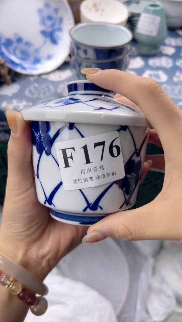 瓷片       F176