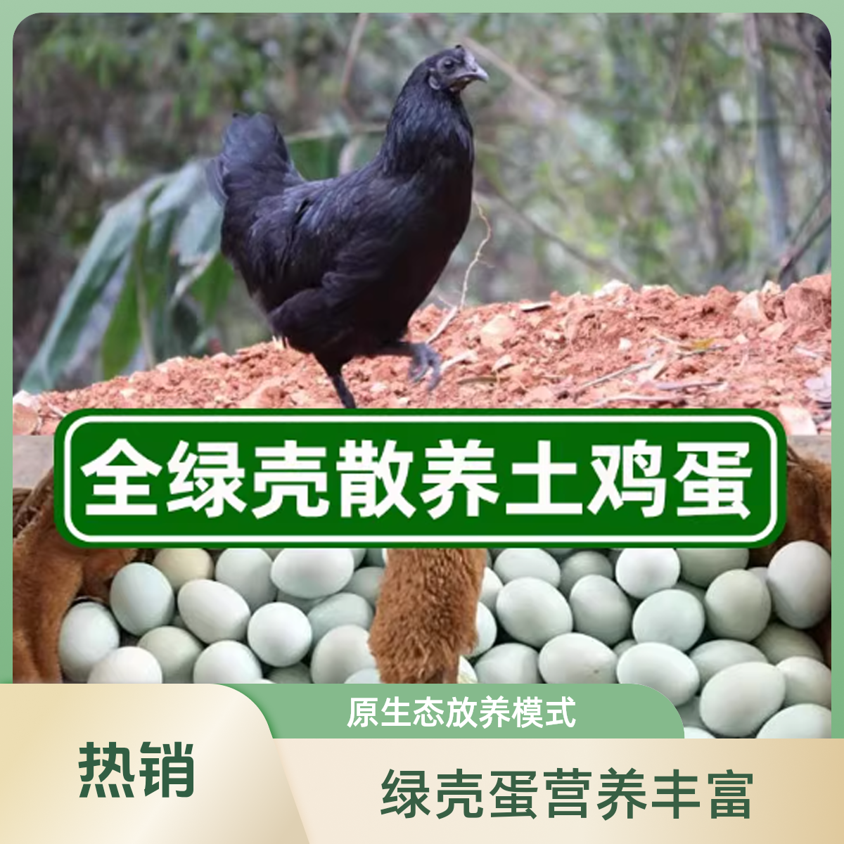 湘西绿壳乌鸡蛋土鸡蛋新鲜正宗月子蛋宝宝蛋