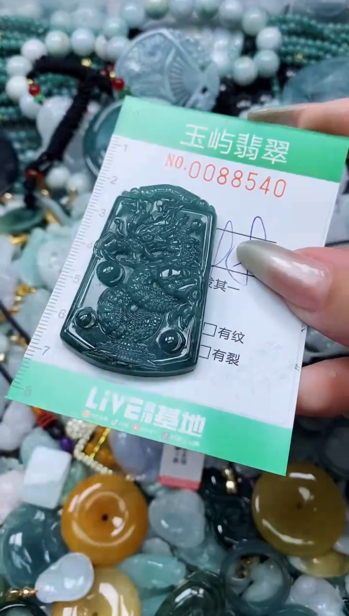 【闪购商品】翡翠颈饰未镶嵌闪购0088540