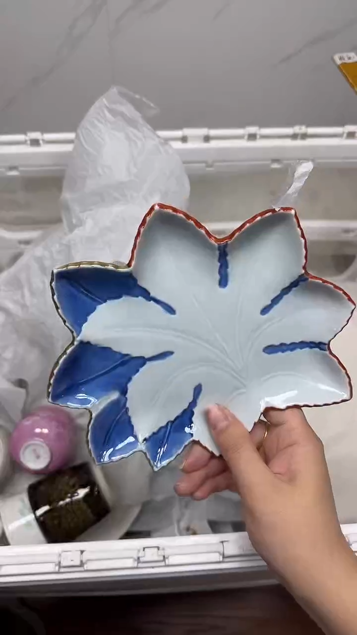 【闪购商品】254回流瓷器默认微瑕，18.8包邮